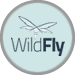 WildFly server