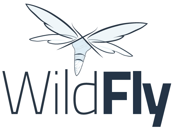 WildFly Hosting